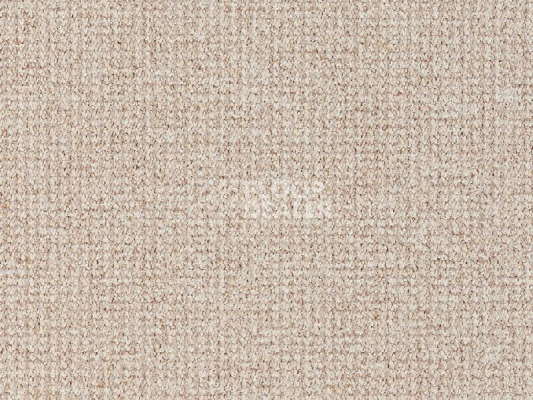 Ковролин Balta Brazil 640 фото 1 | FLOORDEALER